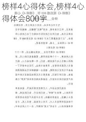 榜样4心得体会,榜样4心得体会800字