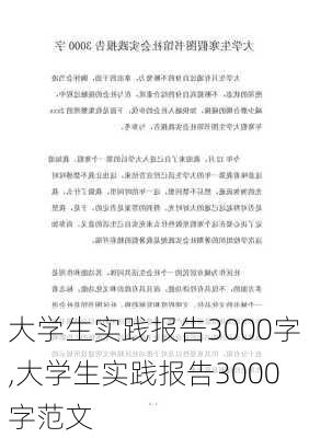 大学生实践报告3000字,大学生实践报告3000字范文