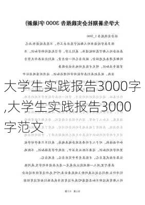 大学生实践报告3000字,大学生实践报告3000字范文