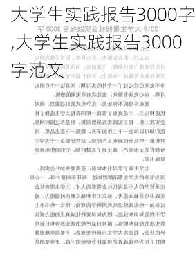 大学生实践报告3000字,大学生实践报告3000字范文