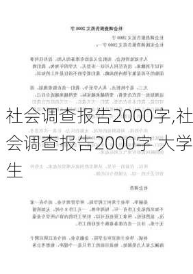 社会调查报告2000字,社会调查报告2000字 大学生