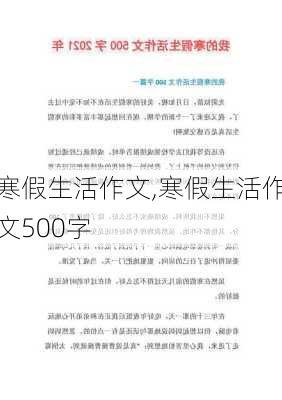 寒假生活作文,寒假生活作文500字