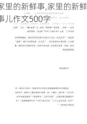 家里的新鲜事,家里的新鲜事儿作文500字