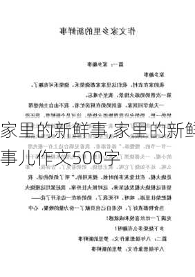 家里的新鲜事,家里的新鲜事儿作文500字