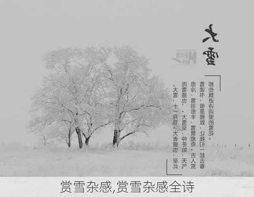 赏雪杂感,赏雪杂感全诗