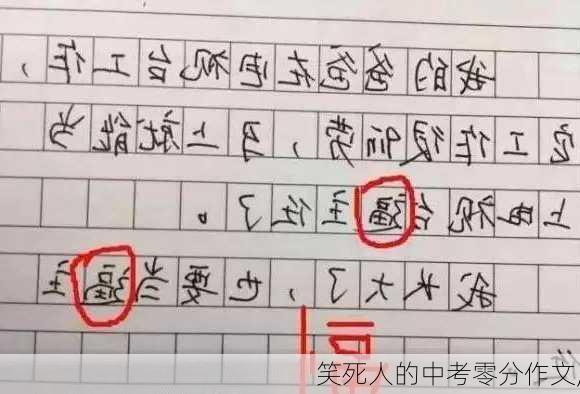 笑死人的中考零分作文,