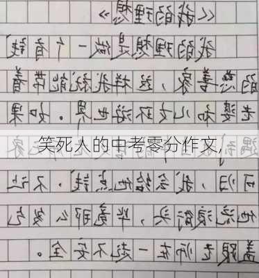 笑死人的中考零分作文,