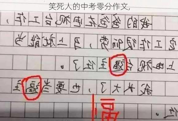 笑死人的中考零分作文,