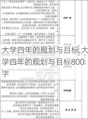 大学四年的规划与目标,大学四年的规划与目标800字