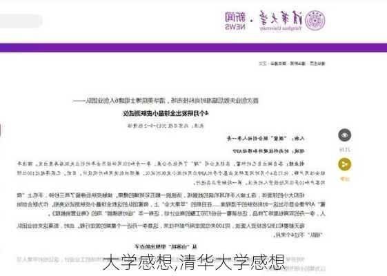 大学感想,清华大学感想