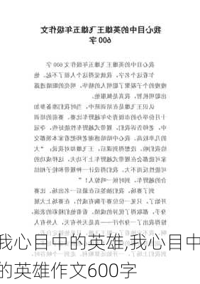 我心目中的英雄,我心目中的英雄作文600字