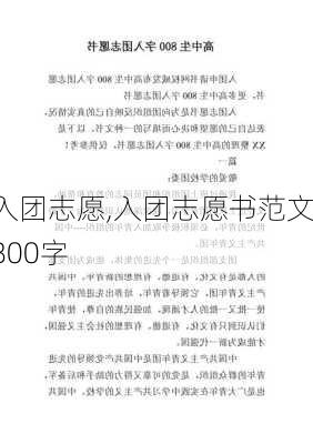 入团志愿,入团志愿书范文800字