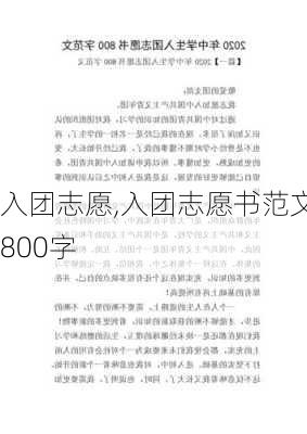 入团志愿,入团志愿书范文800字