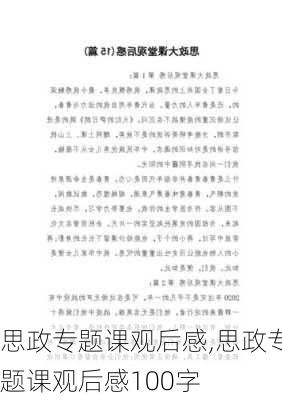 思政专题课观后感,思政专题课观后感100字