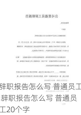 辞职报告怎么写 普通员工,辞职报告怎么写 普通员工20个字