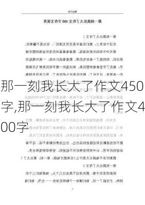 那一刻我长大了作文450字,那一刻我长大了作文400字