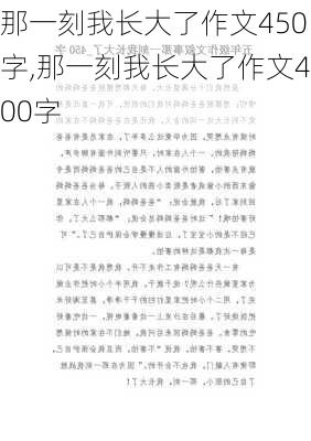 那一刻我长大了作文450字,那一刻我长大了作文400字