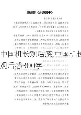 中国机长观后感,中国机长观后感300字