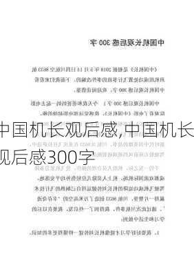 中国机长观后感,中国机长观后感300字