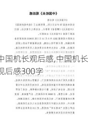 中国机长观后感,中国机长观后感300字