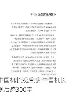 中国机长观后感,中国机长观后感300字