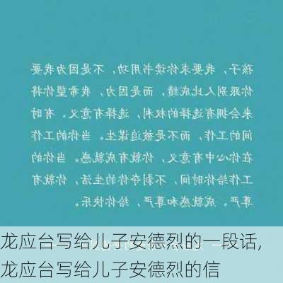 龙应台写给儿子安德烈的一段话,龙应台写给儿子安德烈的信