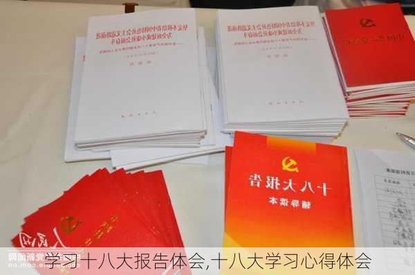 学习十八大报告体会,十八大学习心得体会