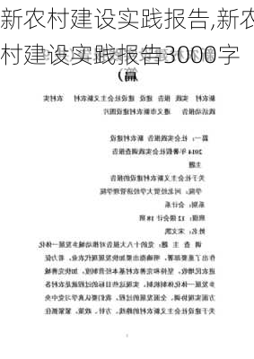 新农村建设实践报告,新农村建设实践报告3000字