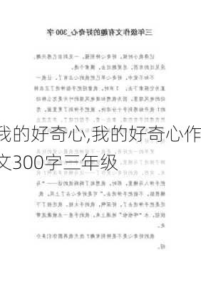 我的好奇心,我的好奇心作文300字三年级