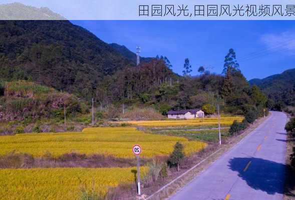 田园风光,田园风光视频风景