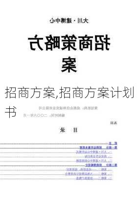 招商方案,招商方案计划书