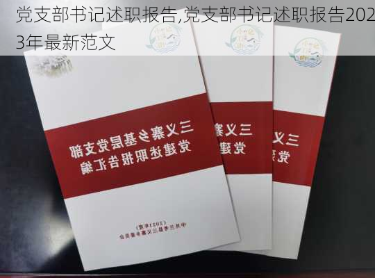 党支部书记述职报告,党支部书记述职报告2023年最新范文