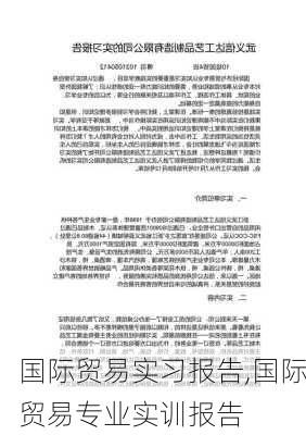 国际贸易实习报告,国际贸易专业实训报告