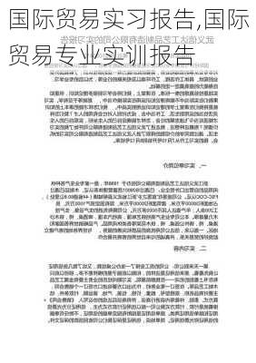 国际贸易实习报告,国际贸易专业实训报告