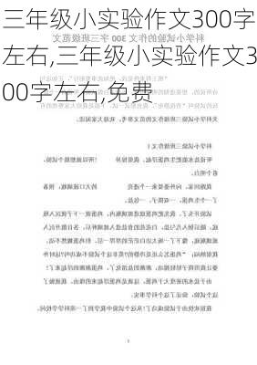 三年级小实验作文300字左右,三年级小实验作文300字左右,免费