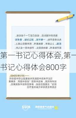 第一书记心得体会,第一书记心得体会800字