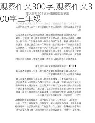 观察作文300字,观察作文300字三年级