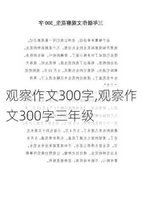 观察作文300字,观察作文300字三年级