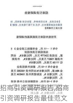 招商引资调研报告,招商引资调研报告最佳范文