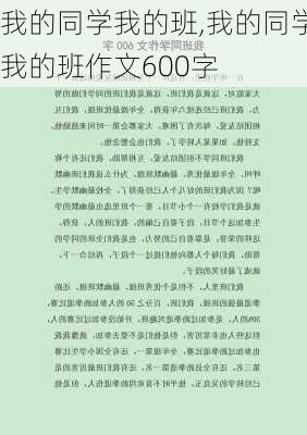 我的同学我的班,我的同学我的班作文600字