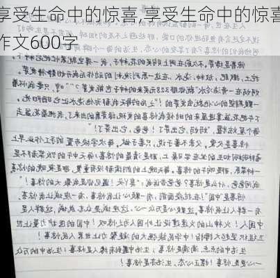 享受生命中的惊喜,享受生命中的惊喜作文600字