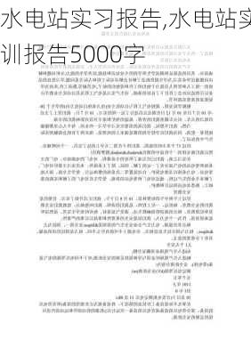 水电站实习报告,水电站实训报告5000字