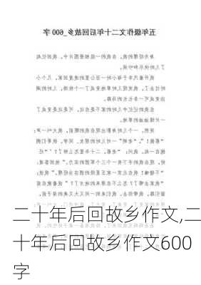 二十年后回故乡作文,二十年后回故乡作文600字