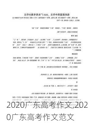 2020广东高考作文,2020广东高考作文范文