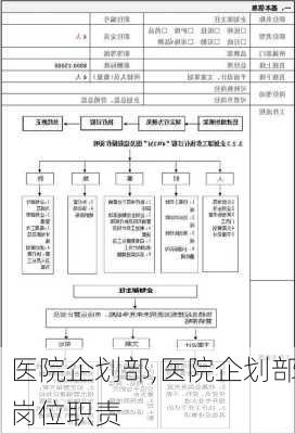 医院企划部,医院企划部岗位职责