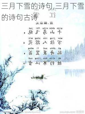 三月下雪的诗句,三月下雪的诗句古诗