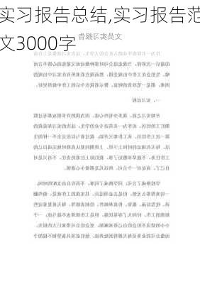 实习报告总结,实习报告范文3000字