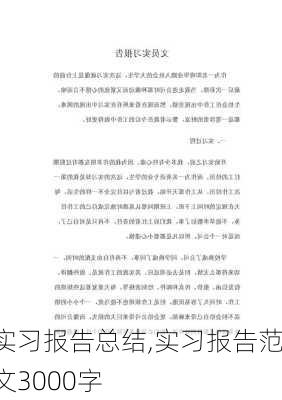 实习报告总结,实习报告范文3000字