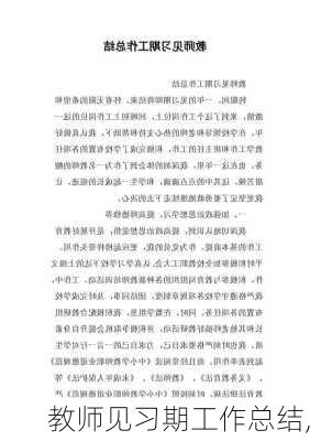 教师见习期工作总结,