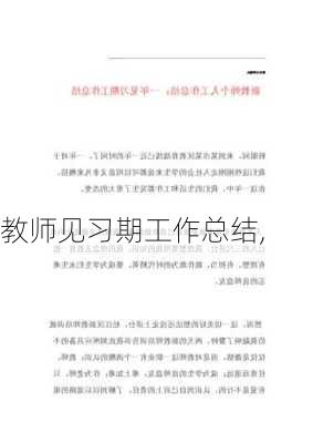 教师见习期工作总结,